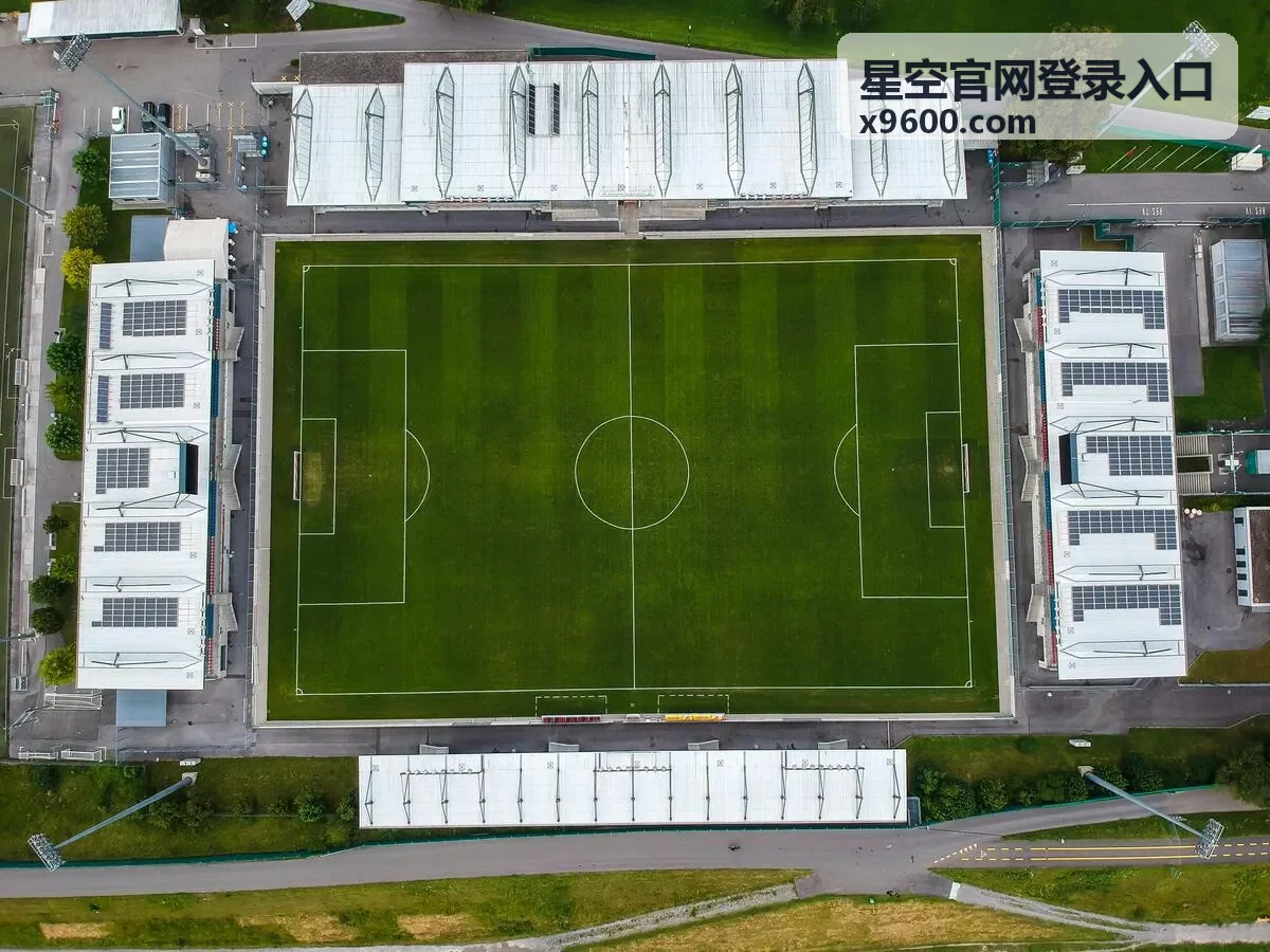 独播好剧星空官网娱乐频道
