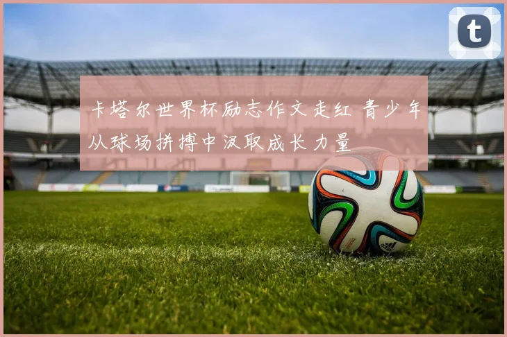 卡塔尔世界杯励志作文走红 青少年从球场拼搏中汲取成长力量