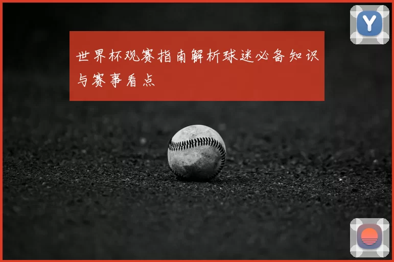 世界杯观赛指南解析球迷必备知识与赛事看点