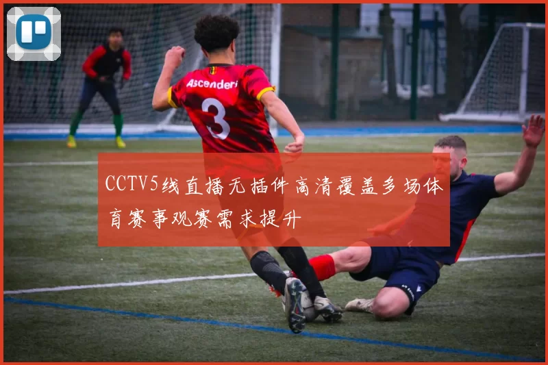 CCTV5线直播无插件高清覆盖多场体育赛事观赛需求提升