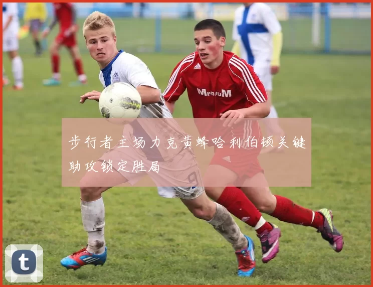 步行者主场力克黄蜂哈利伯顿关键助攻锁定胜局