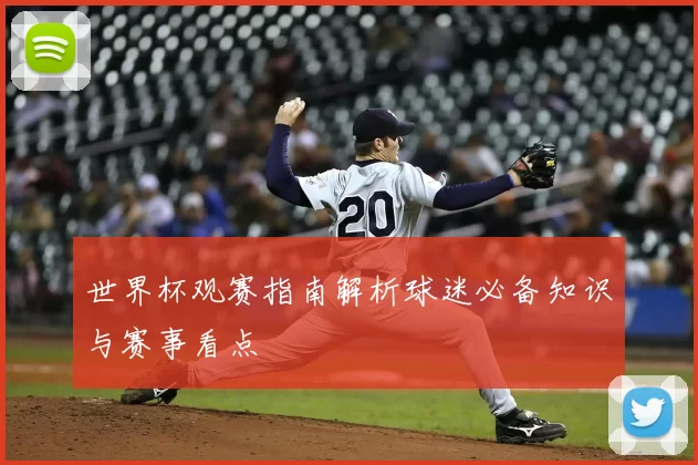 世界杯观赛指南解析球迷必备知识与赛事看点