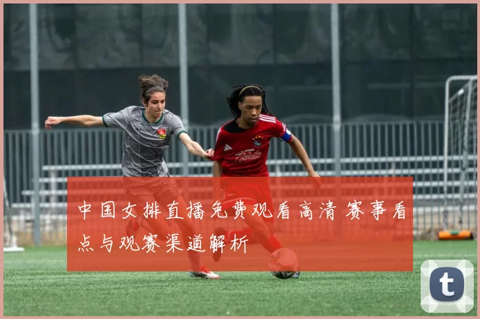 中国女排直播免费观看高清 赛事看点与观赛渠道解析