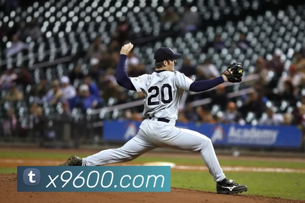 星空最新官方网址平台生态图